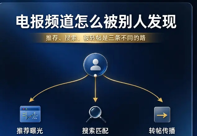 电报频道怎么被别人发现：推荐、搜索、被转帖是三条不同的路